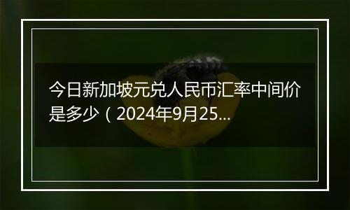 今日新加坡元兑人民币汇率中间价是多少(2024年9月25日)