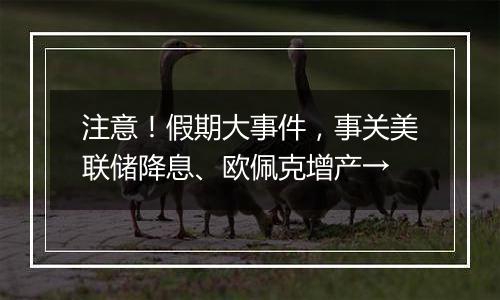 注意!假期大事件,事关美联储降息、欧佩克增产→
