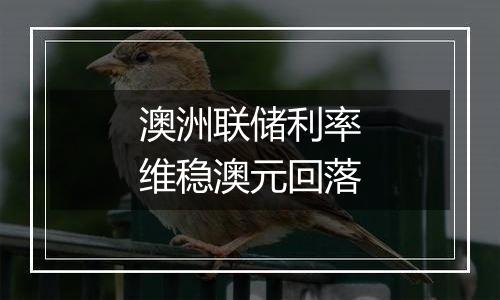 澳洲联储利率维稳澳元回落
