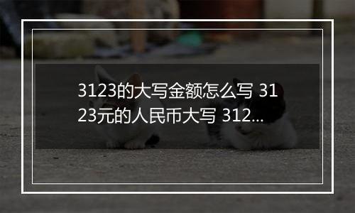 3123的大写金额怎么写 3123元的人民币大写 3123元的数字大写