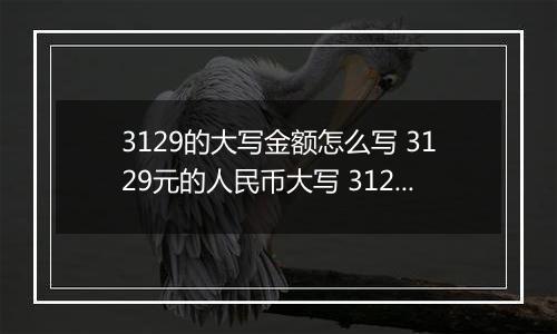 3129的大写金额怎么写 3129元的人民币大写 3129元的数字大写