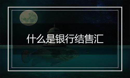 什么是银行结售汇
