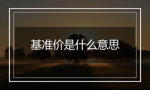 基准价是什么意思