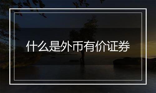 什么是外币有价证券