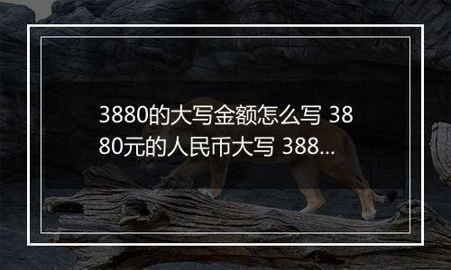 3880的大写金额怎么写 3880元的人民币大写 3880元的数字大写