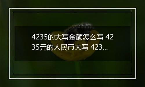 4235的大写金额怎么写 4235元的人民币大写 4235元的数字大写