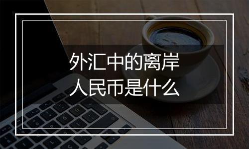 外汇中的离岸人民币是什么