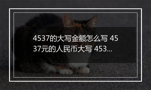 4537的大写金额怎么写 4537元的人民币大写 4537元的数字大写