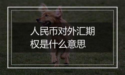 人民币对外汇期权是什么意思