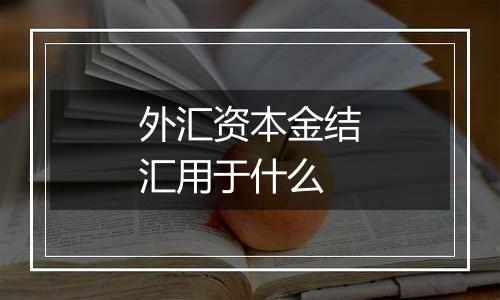 外汇资本金结汇用于什么