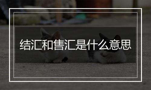 结汇和售汇是什么意思