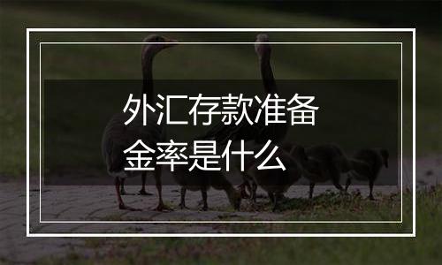 外汇存款准备金率是什么