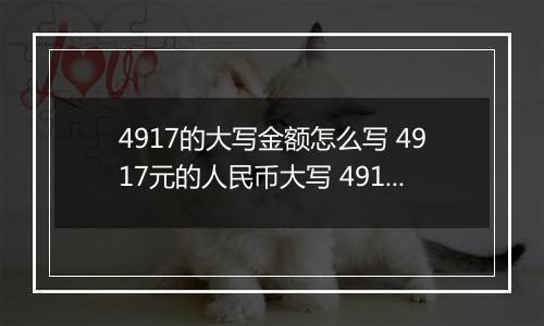4917的大写金额怎么写 4917元的人民币大写 4917元的数字大写