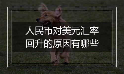 人民币对美元汇率回升的原因有哪些