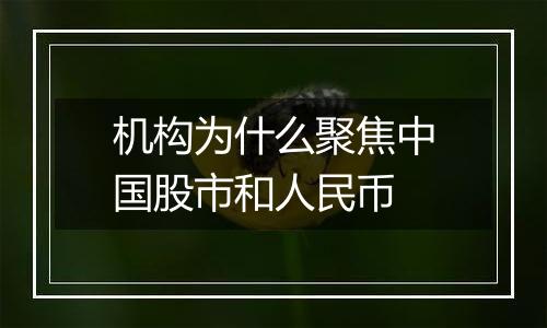 机构为什么聚焦中国股市和人民币