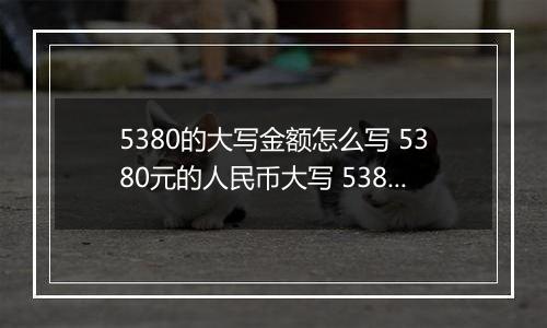 5380的大写金额怎么写 5380元的人民币大写 5380元的数字大写