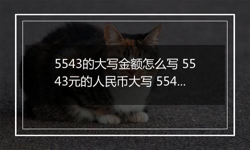 5543的大写金额怎么写 5543元的人民币大写 5543元的数字大写