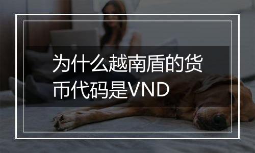 为什么越南盾的货币代码是VND