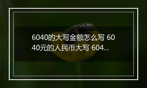 6040的大写金额怎么写 6040元的人民币大写 6040元的数字大写