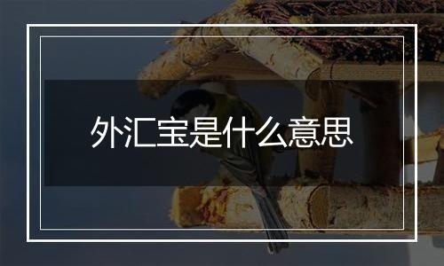 外汇宝是什么意思