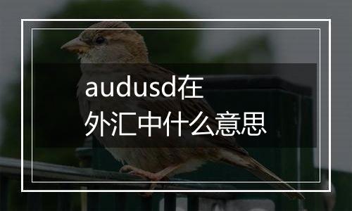 audusd在外汇中什么意思