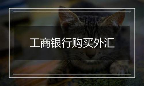 工商银行购买外汇