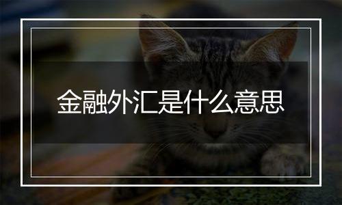 金融外汇是什么意思