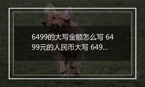 6499的大写金额怎么写 6499元的人民币大写 6499元的数字大写