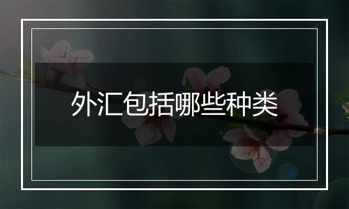 外汇包括哪些种类