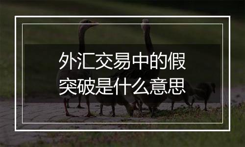 外汇交易中的假突破是什么意思
