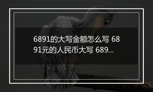 6891的大写金额怎么写 6891元的人民币大写 6891元的数字大写
