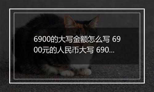 6900的大写金额怎么写 6900元的人民币大写 6900元的数字大写