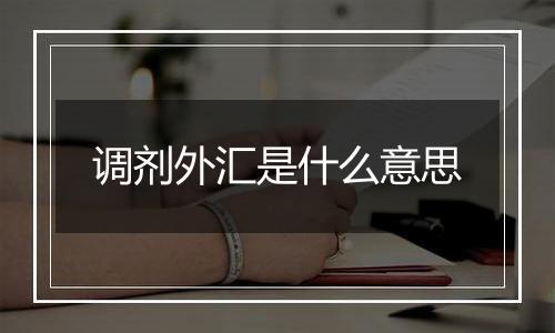 调剂外汇是什么意思