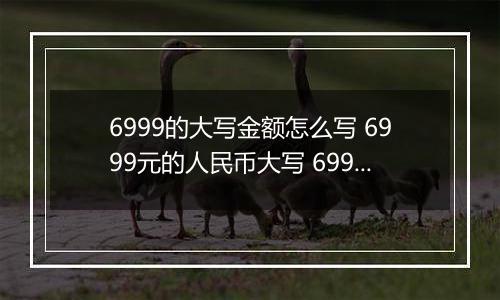 6999的大写金额怎么写 6999元的人民币大写 6999元的数字大写