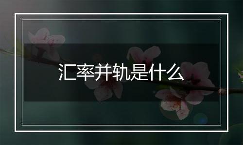 汇率并轨是什么