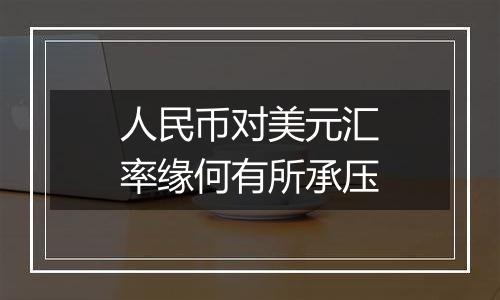 人民币对美元汇率缘何有所承压