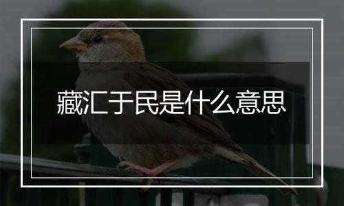 藏汇于民是什么意思