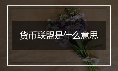 货币联盟是什么意思