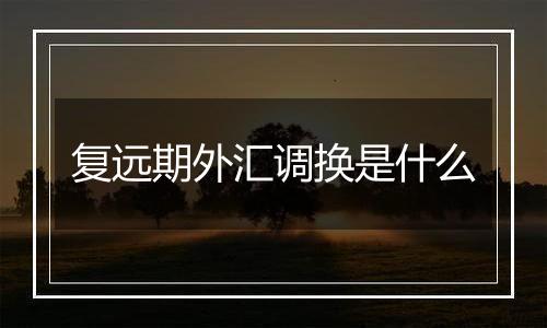 复远期外汇调换是什么