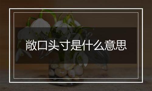 敞口头寸是什么意思
