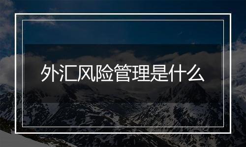 外汇风险管理是什么