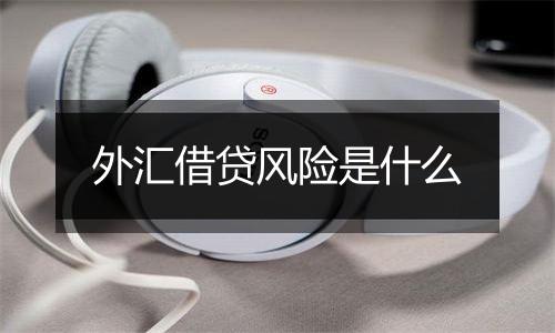 外汇借贷风险是什么
