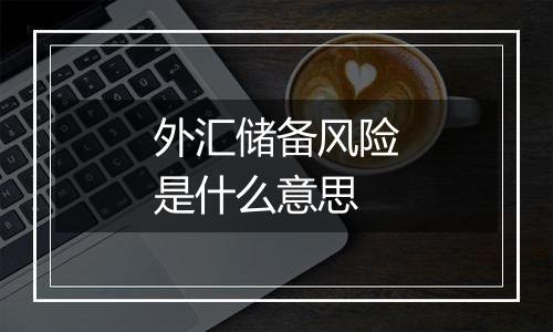 外汇储备风险是什么意思