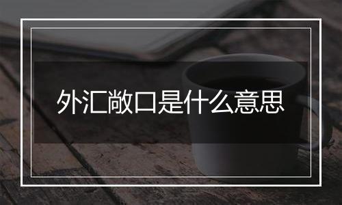 外汇敞口是什么意思