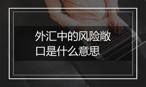 外汇中的风险敞口是什么意思