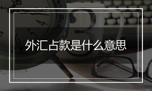 外汇占款是什么意思
