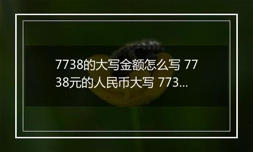 7738的大写金额怎么写 7738元的人民币大写 7738元的数字大写
