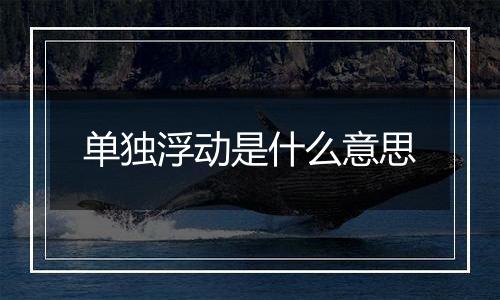 单独浮动是什么意思