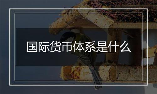 国际货币体系是什么