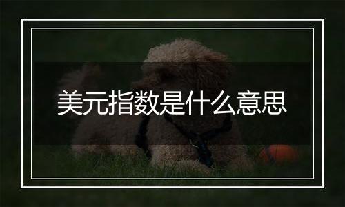 美元指数是什么意思